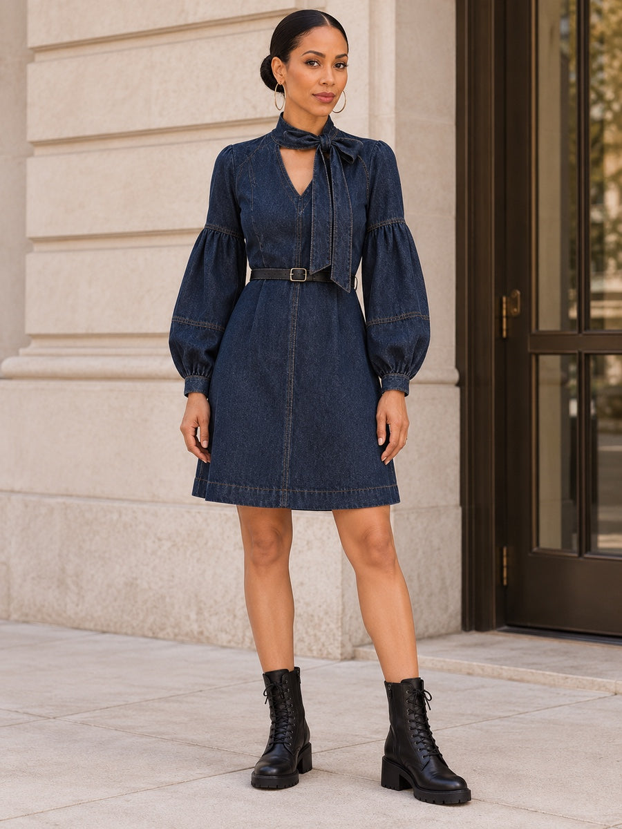 Long Sleeves Puff Sleeves Belted Bow-Embellished Solid Color V-Neck Mini Dresses - 193213_OL_F1_新增